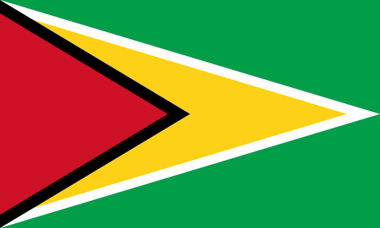 Bandeira do(a) Guyana