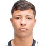 Avatar do Pedro Henrique de Assis