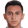 Avatar do Bruno Miranda