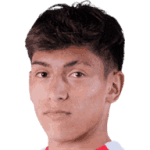 Avatar do Felipe Sebastián Ortiz Venegas